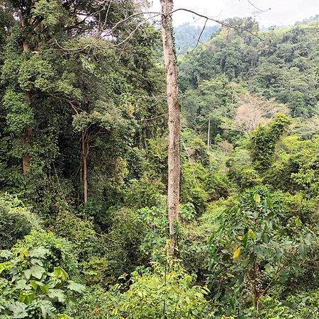 On The Rocks Bungalows, Restaurant And Jungle Trekking Tours بوكيت لاوانج المظهر الخارجي الصورة