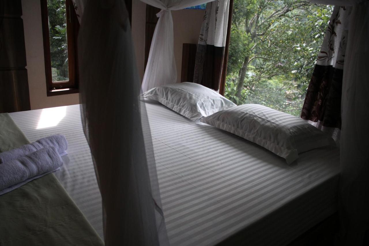 On The Rocks Bungalows, Restaurant And Jungle Trekking Tours بوكيت لاوانج المظهر الخارجي الصورة
