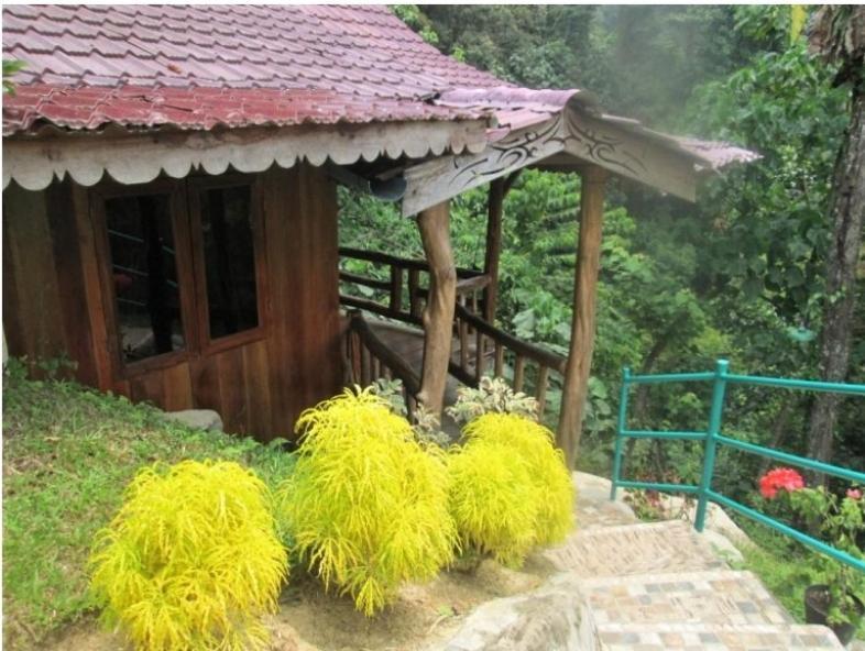 On The Rocks Bungalows, Restaurant And Jungle Trekking Tours بوكيت لاوانج المظهر الخارجي الصورة