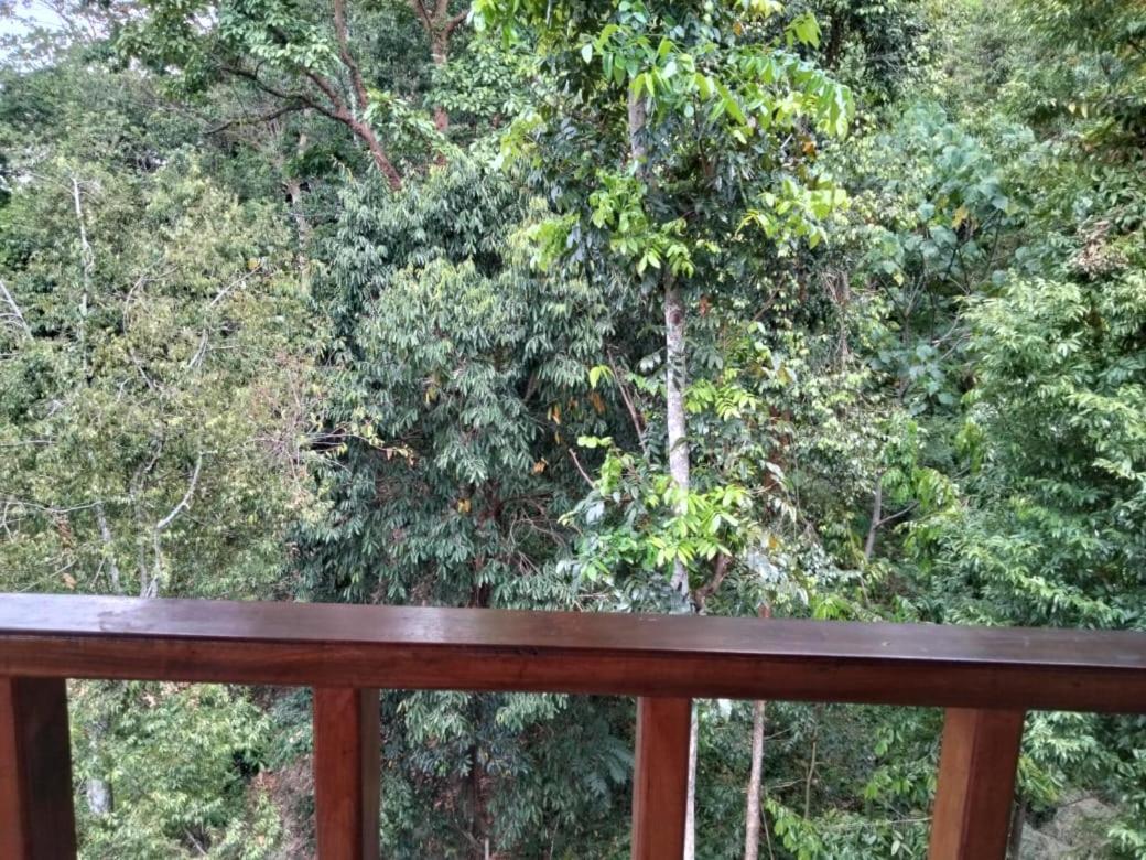 On The Rocks Bungalows, Restaurant And Jungle Trekking Tours بوكيت لاوانج المظهر الخارجي الصورة