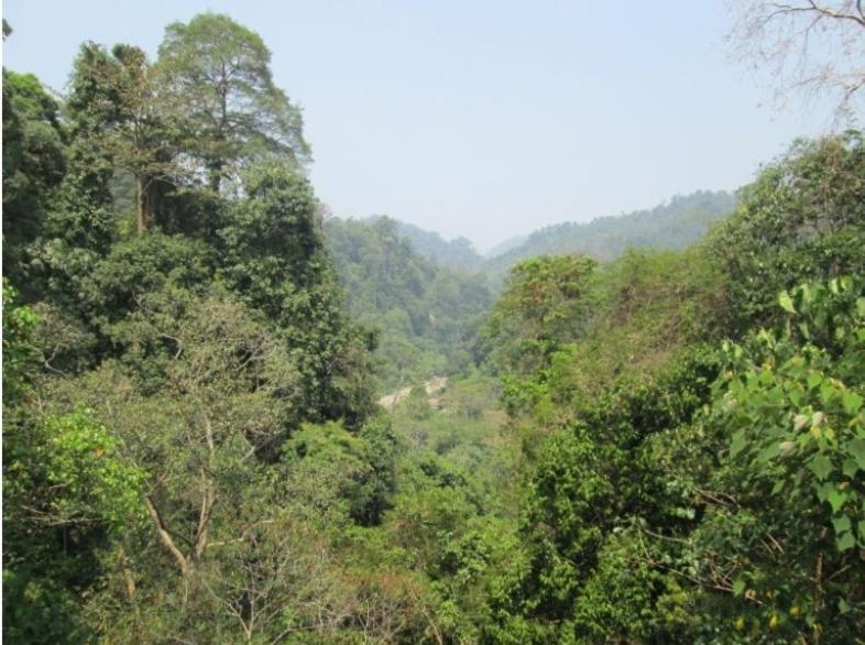 On The Rocks Bungalows, Restaurant And Jungle Trekking Tours بوكيت لاوانج المظهر الخارجي الصورة