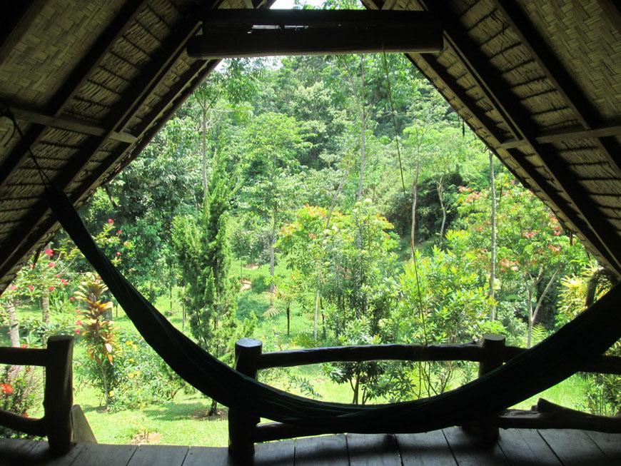 On The Rocks Bungalows, Restaurant And Jungle Trekking Tours بوكيت لاوانج المظهر الخارجي الصورة
